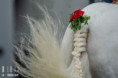 /album/fotogalerie/l3a5155-jpg/