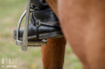 /album/fotogalerie/l3a5196-jpg/