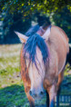 /album/fotogalerie/l3a1687-jpg/